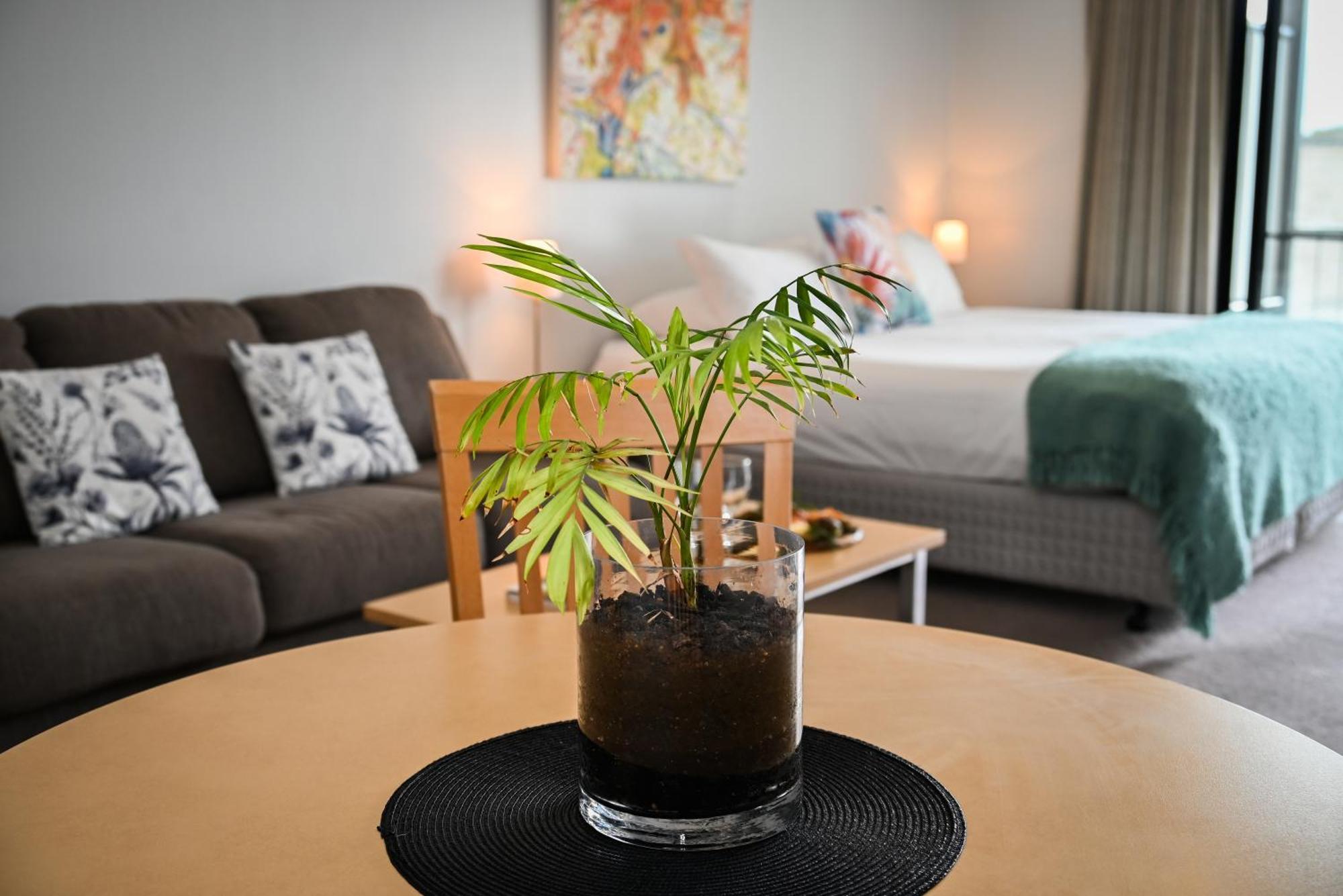 Mansfield Apartments מראה חיצוני תמונה